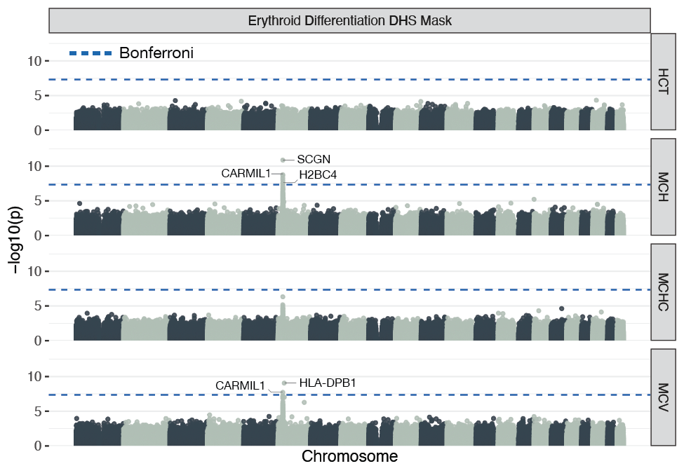 Erythroid differentiation DHS sites SME analysis