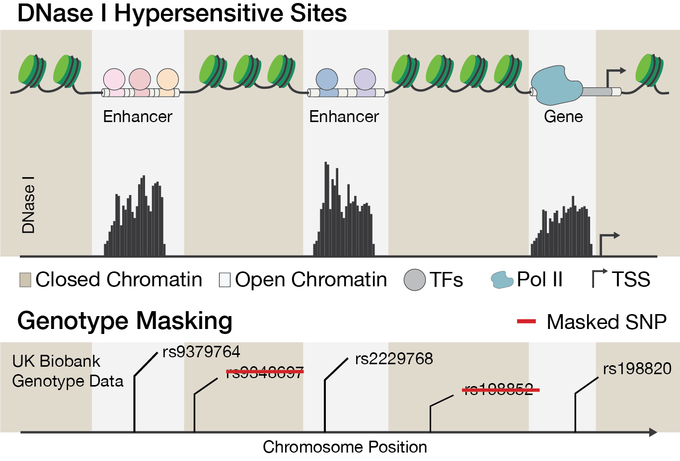 Sparse Marginal Epistasis test (SME) schematic DHS data